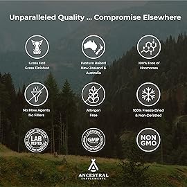 Ancestral Supplements Grass Fed Beef Brain Supplement with Beef Liver, Whole Food Brain Support Promotes Brain, Mood, and Memory Health, Brain and Liver Health Formula Capsules, Non-GMO, 180 Capsules