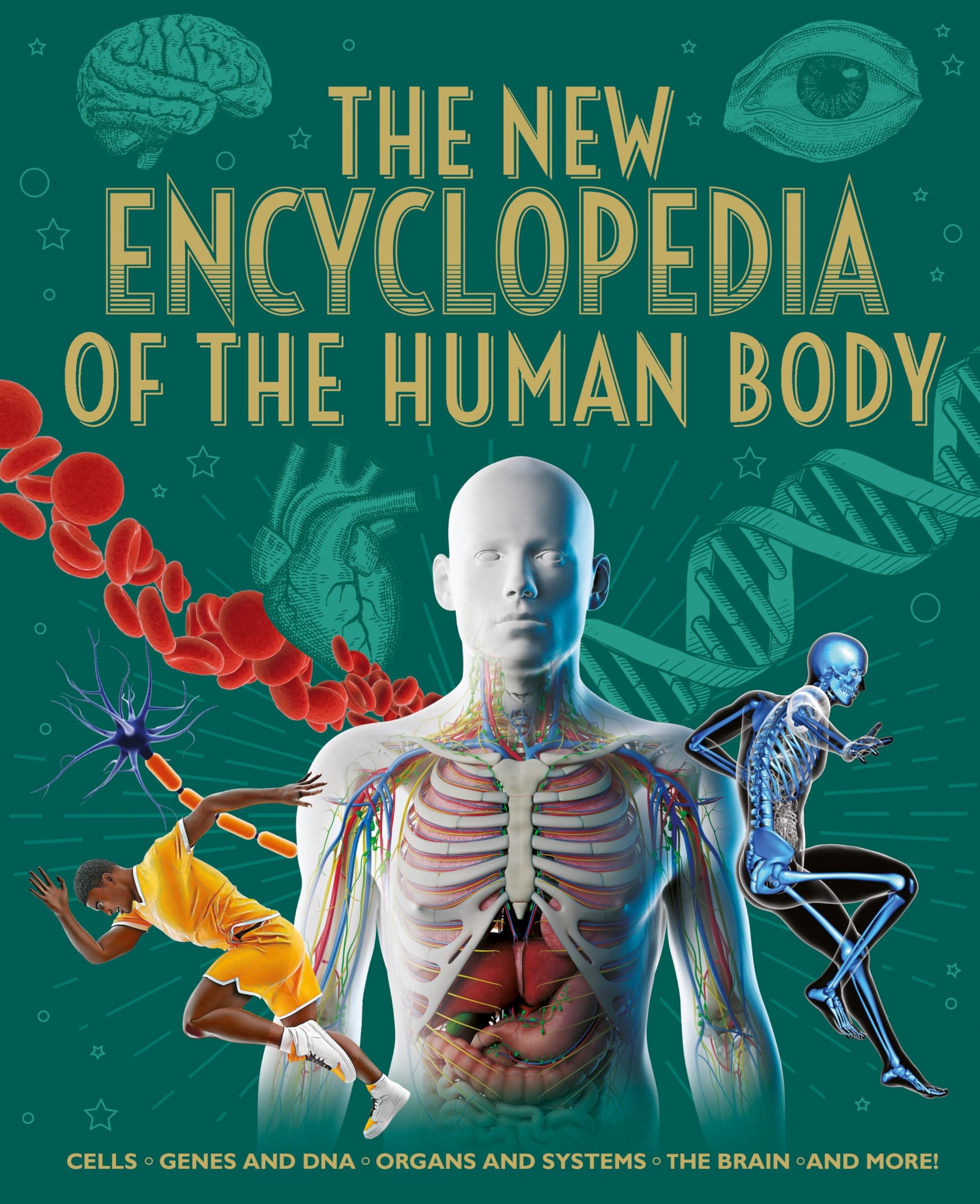 The New Encyclopedia of the Human Body: Cells, Genes and DNA, Organs and Systems, the Brain, and More! (Arcturus New Encyclopedias)