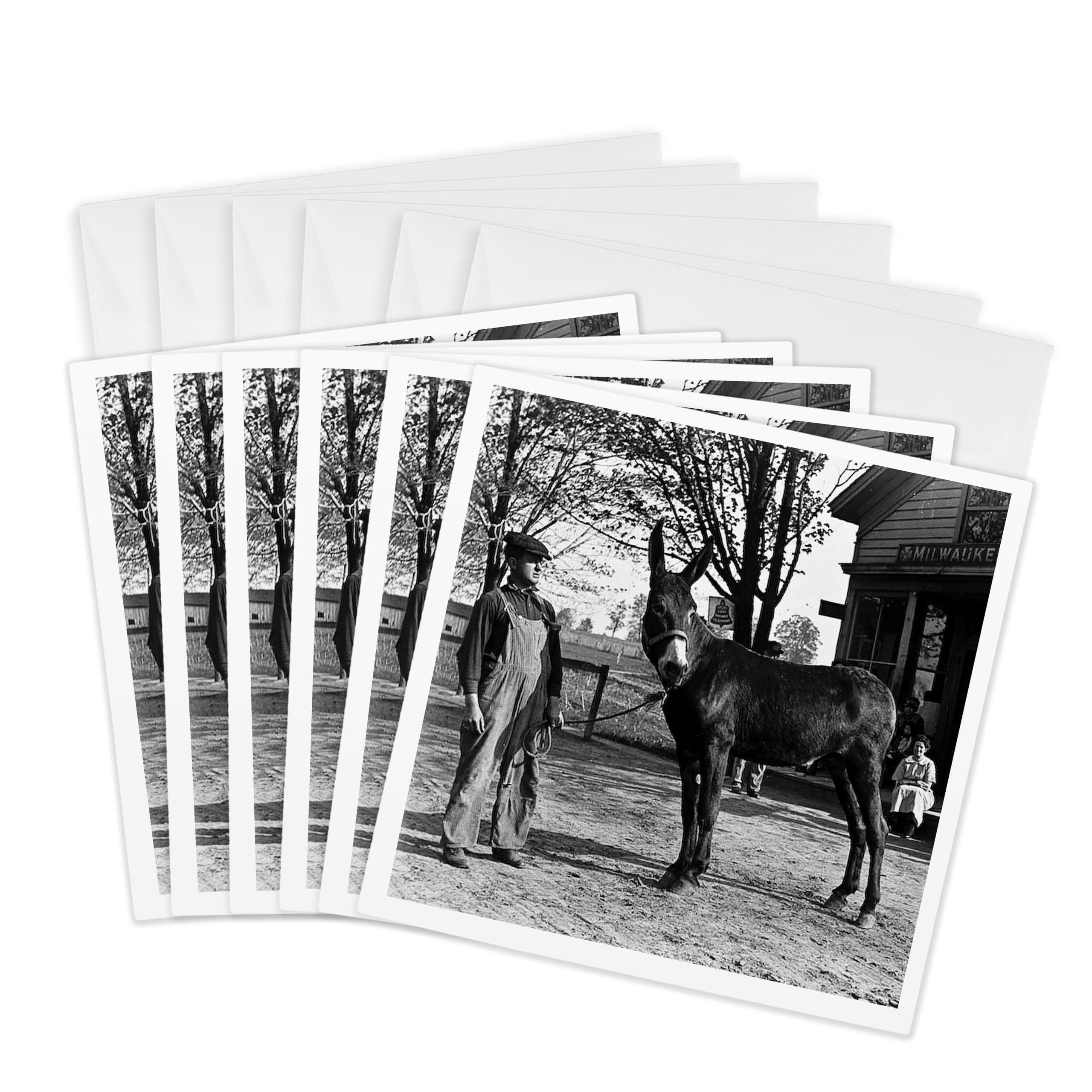 3dRose gc_16067_1 6 x 6-Inch "1902 Man and a Mule in Milwaukee Grayscale" Greeting Card (Pack of 6)
