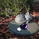 Ver la foto 7
