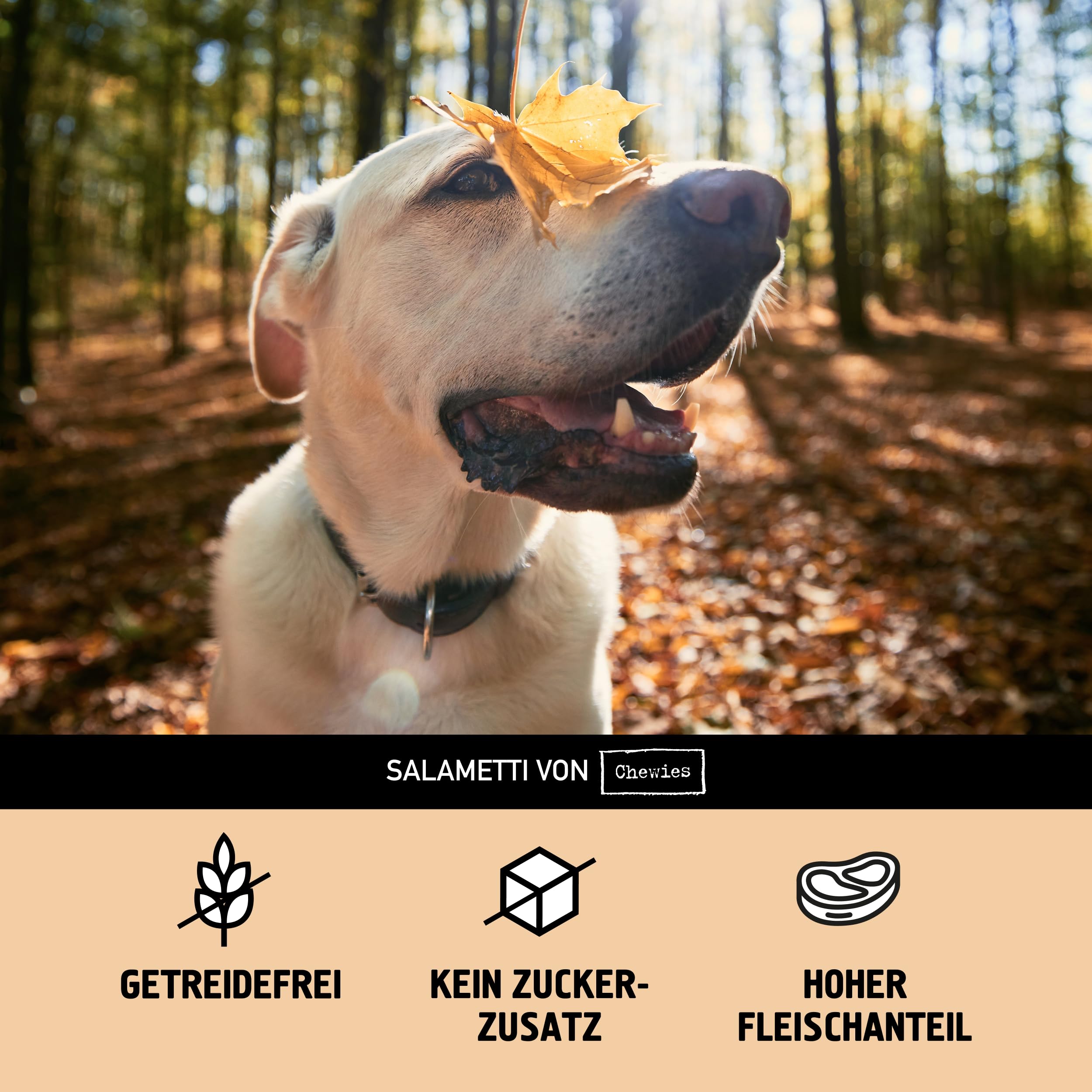 Chewies SALAMETTI Rind & Rentier- Hundeleckerli getreidefrei, mit Protein, ohne Zucker & schonend luftgetrocknet, reich an Vitaminen & Mineralstoffen (8 x 200g)