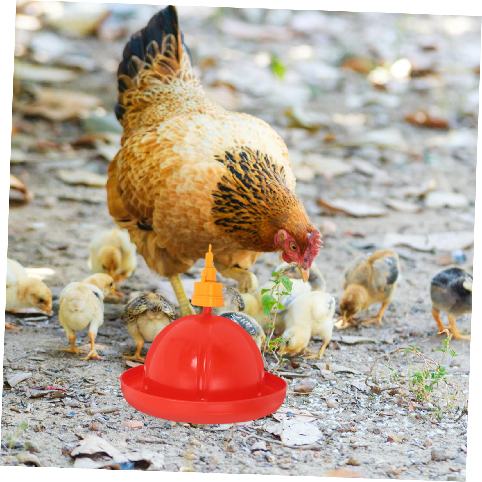 TOYANDONA Kit Automático de Bebederos y Comederos para Pollos y Gansos Agua Contenedor de Integrado y Fácil Instalación para Avicultura