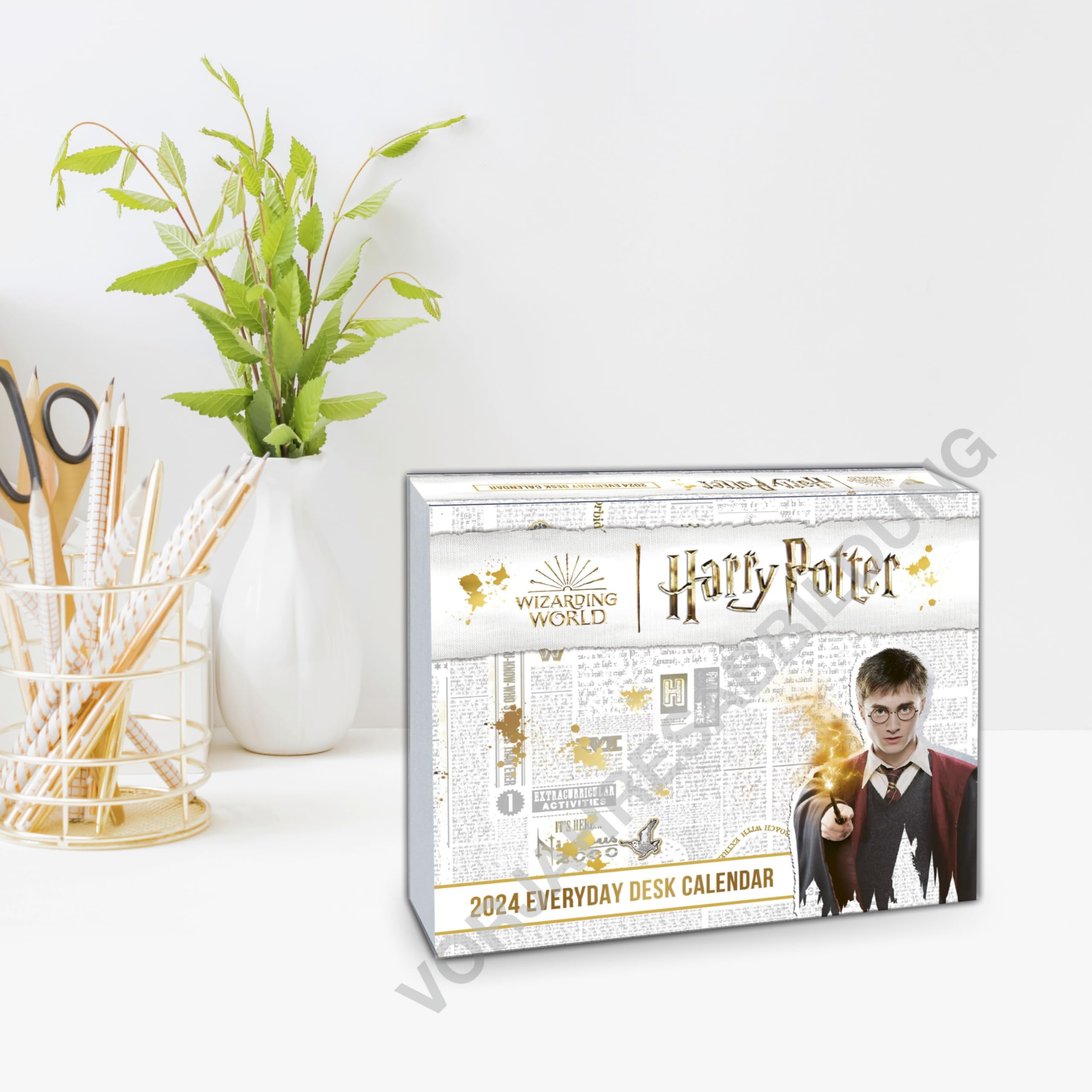 Harry Potter Tagesabreißkalender 2025: Magischer Kalender für jeden Tag mit Zitaten, Bildern und spannenden Details aus der Filmreihe. Tischkalender für Harry Potter-Fans. Auch zum Aufhängen