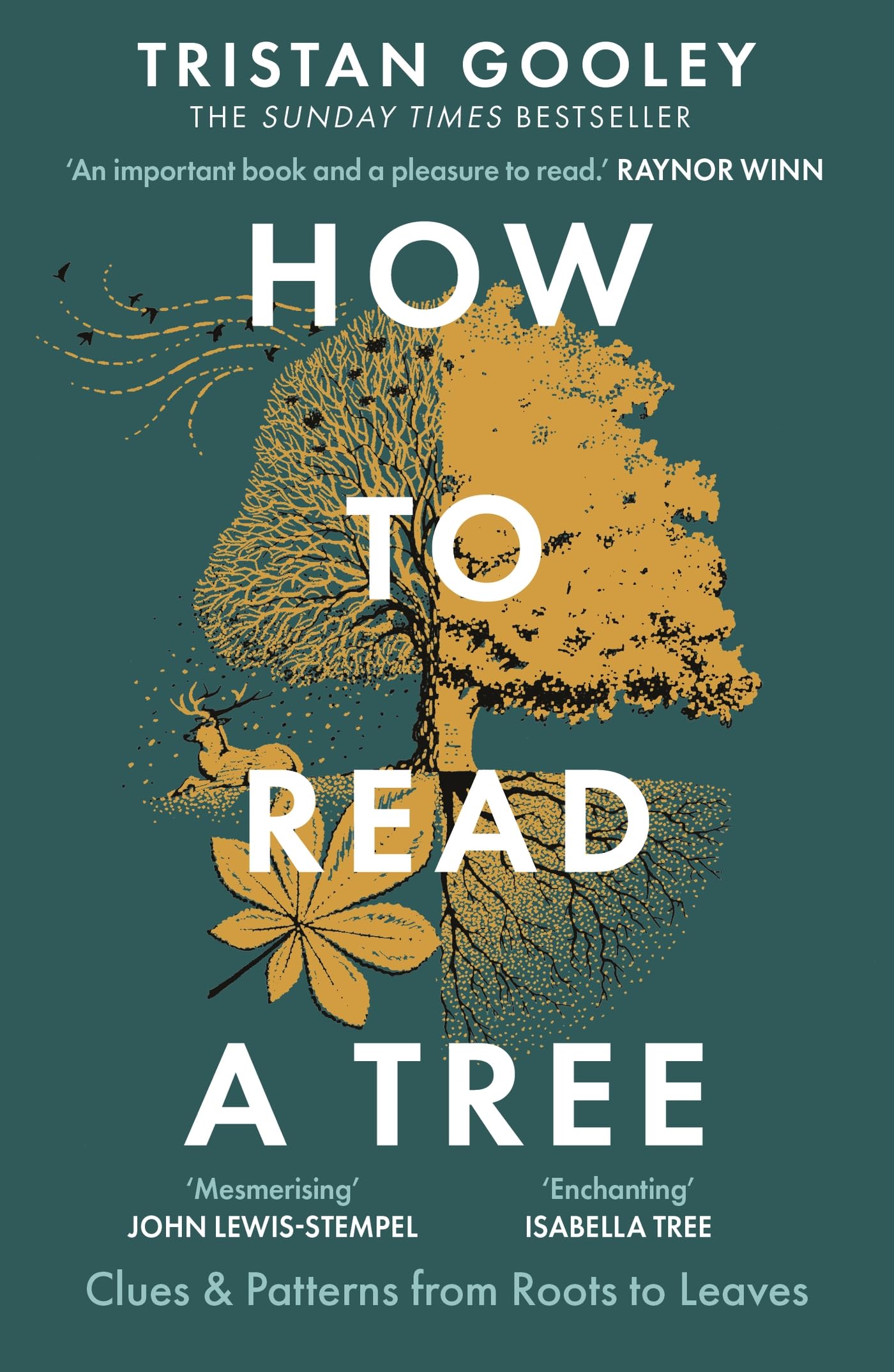 How to Read a Tree: A must-have for all nature lovers - perfect reading for your summer walks