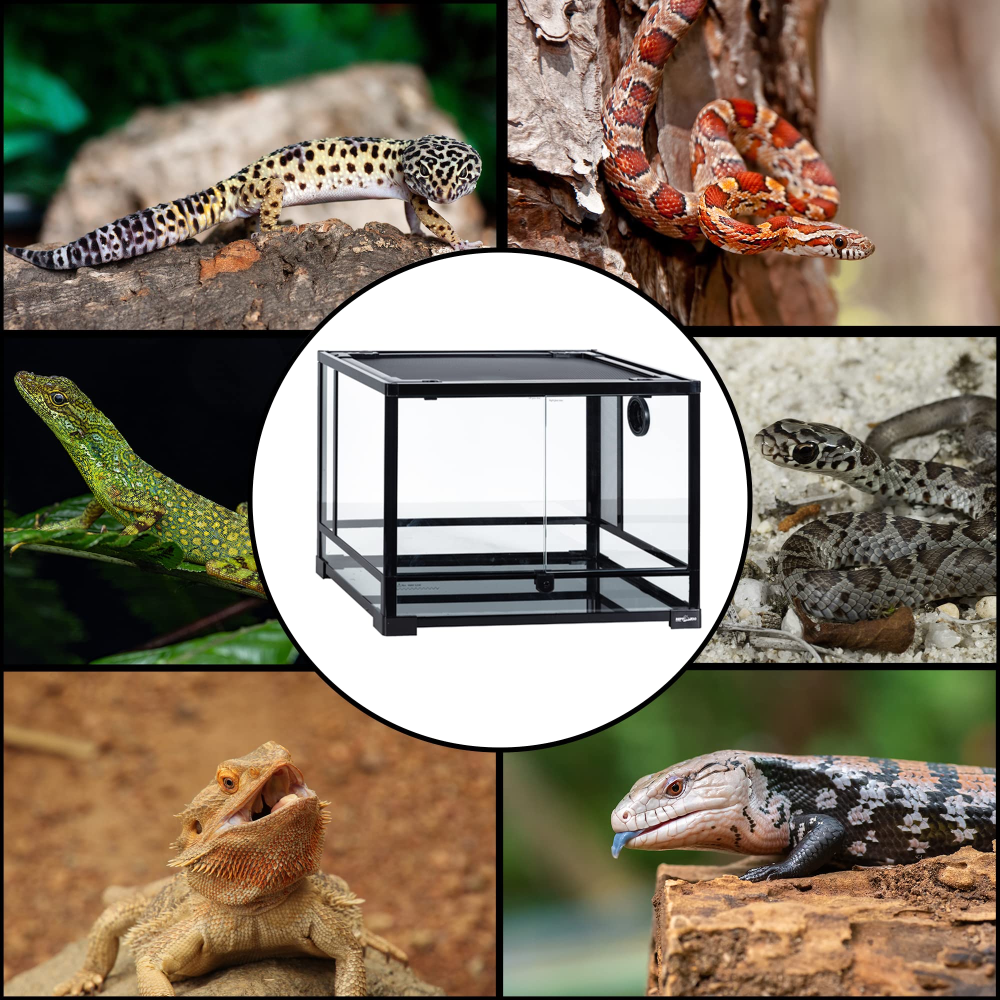 ReptiZoo Glas-Terrarium 60x45x45 cm, zerlegbar - verschickbar! (RK0107)
