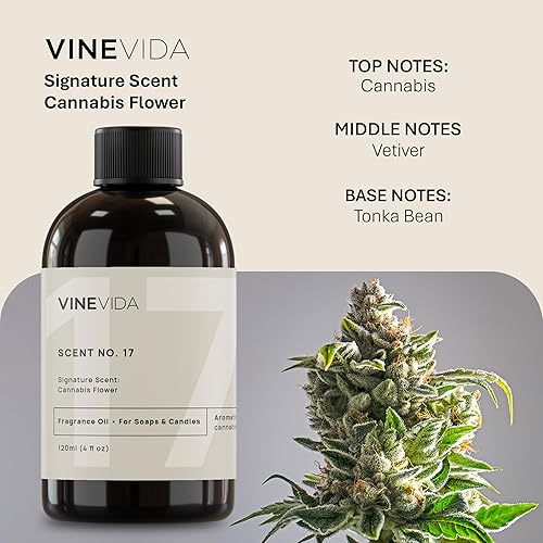 Miniatura 2 de VINEVIDA 4 onzas Aceite de fragancia de flor de cannabis para fabricación de velas, hecho en Estados Unidos, aroma de velas para fabricación de