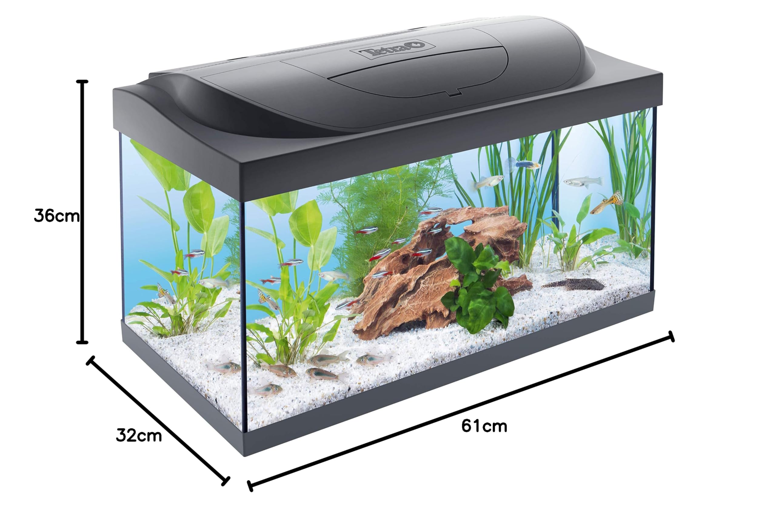 Tetra Starter Line 54 L Aquarium Komplett-Set mit LED-Beleuchtung - stabiles Einsteigerbecken mit Technik, Futter und Pflegemitteln, Farbe: Schwarz