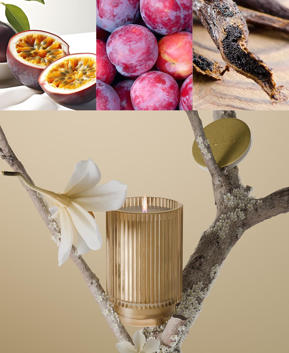 Nicole Miller Soy Blend Wax Candle, Vanilla Blossom, 12.5 oz.