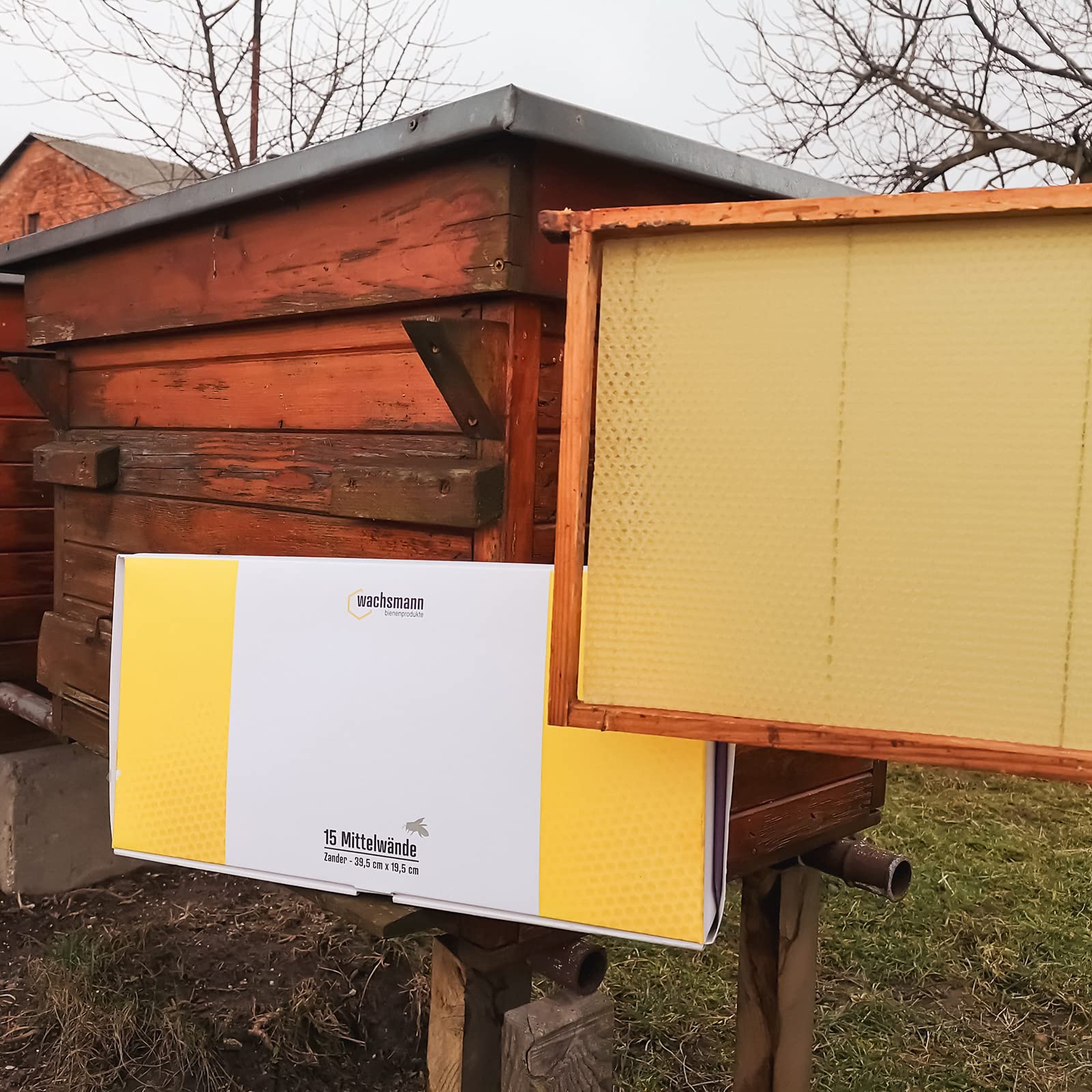 Wachsmann reines Bienenwachs – zertifiziert varroazid-frei, 15 Mittelwände Zander, Made in Germany, für Imker Rähmchen