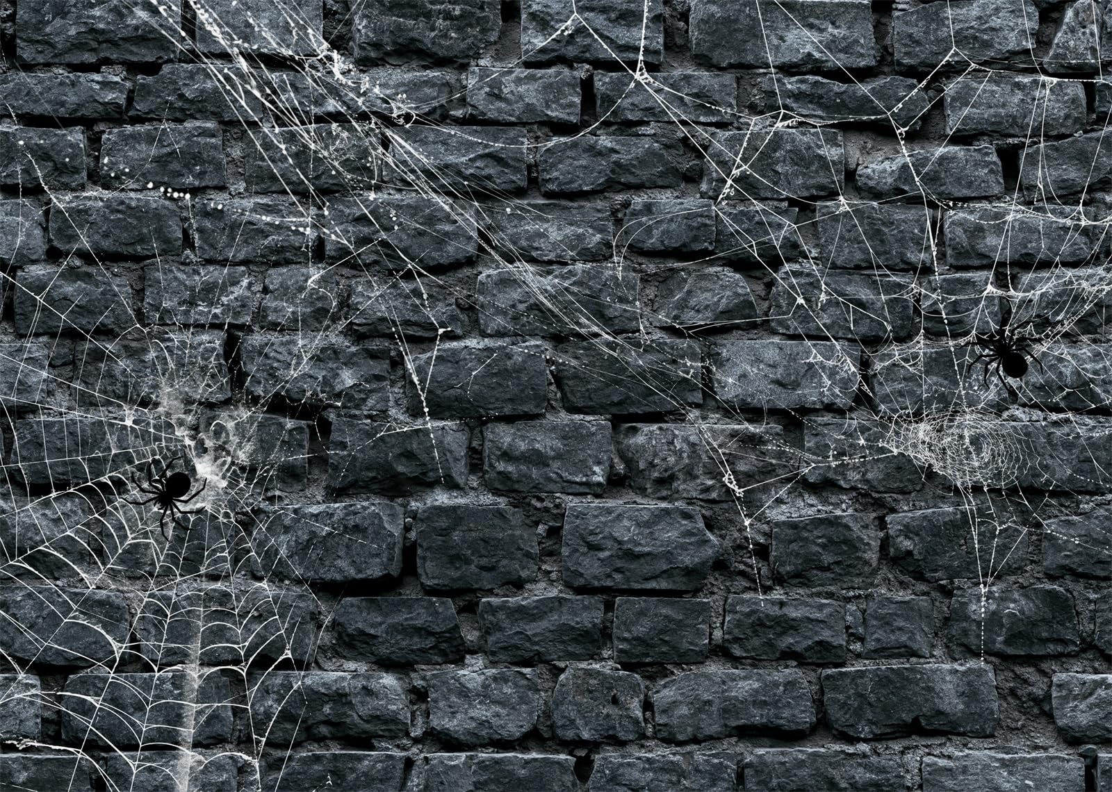8x8FT (2.5x2.5m) Parete Mattoni Neri Ragnatele Sfondo Fotografico