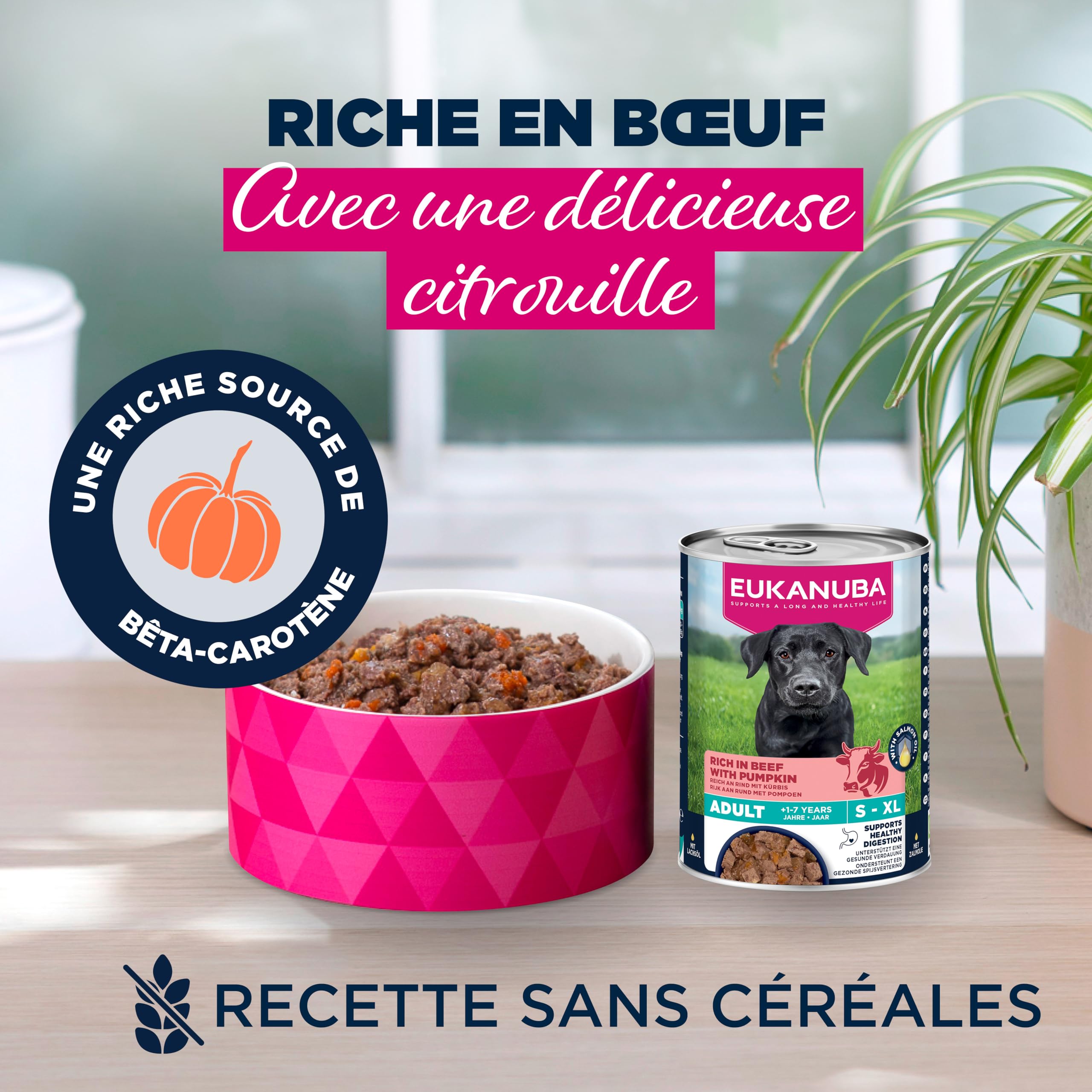 EUKANUBA Life Care Aliment Humide Chien Adulte 1 à 7 Ans Toutes Races, Pâtée Riche en Bœuf & Courges, Oméga-3, Calcium, Prébiotiques MOS, sans OGM Colorants Conservateurs, 6 boîtes de 400g