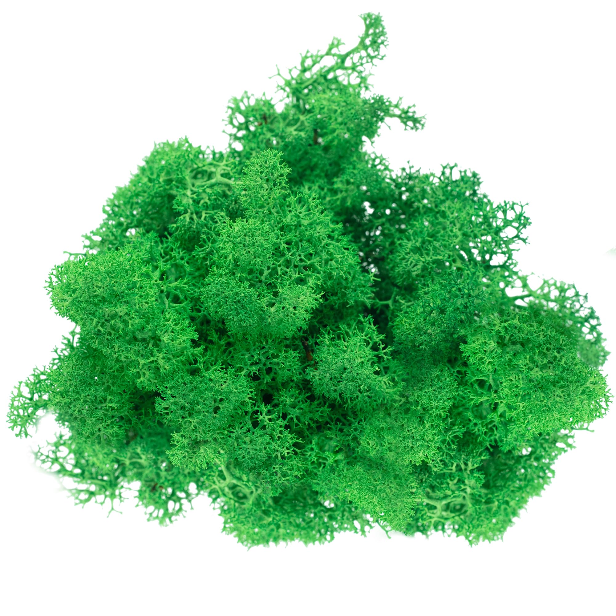 Karton mech islandzki zielony - 500 g
