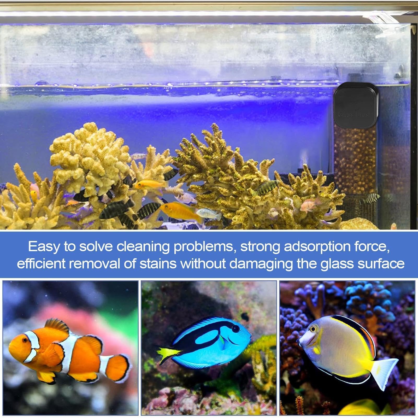 Fish Tank Magnetic Glass Cleaner, Compact Scrubber Pads, Sturdy Fixture with Reliable Build, Aquatic Accessory with Compact Details, 1,38 x 1,38 x 1,38 in Household Equipment, organizer do terrarium
