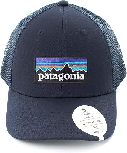 patagonia snapback