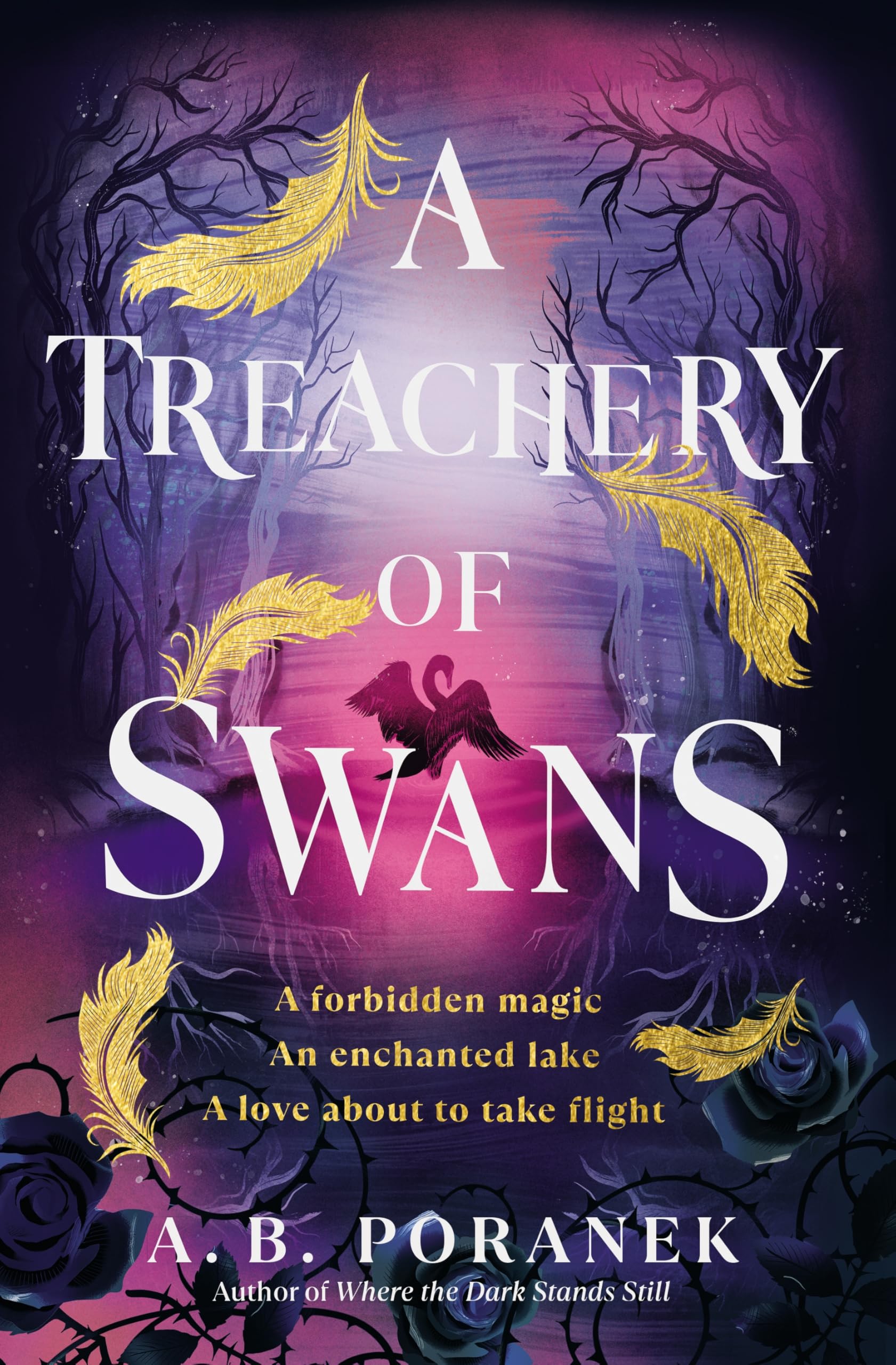 A Treachery of Swans: A dark, enchanting YA romantasy from the author of Where the Dark Stands Still