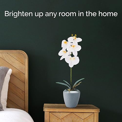 Miniatura 6 de Mikasa Orquídea artificial en maceta, orquídea Phalaenopsis de tacto real, maceta de cemento con borde plateado, rama individual de 15 pulgadas,