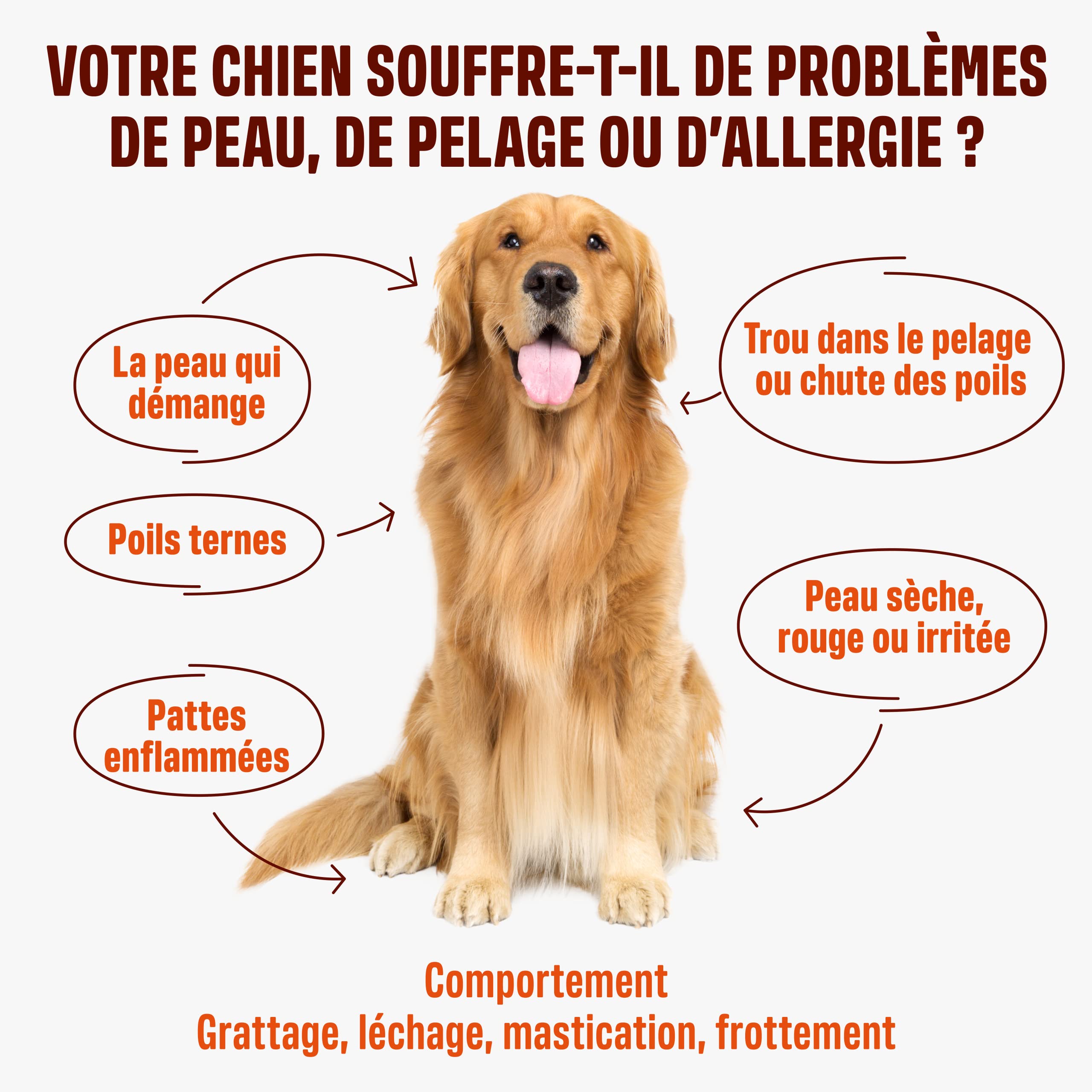 ivvi Skin & Coat Complément Alimentaire pour Chien, Anti-Démangeaisons, Fourrure Douce et Brillante - Oméga 3, Huile de Saumon, DHAgold, Vitamines C, E et Zinc - 60 Friandises au Saumon