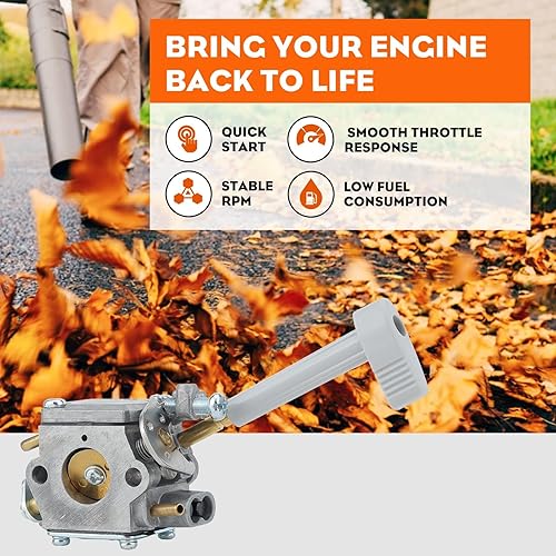 Miniatura 4 de Hipa RY08420 Carburador para mochila BP42 RY08420A RY42BPEMC RY42WB soplador de hojas 308054093 900777005 308054079 Carb