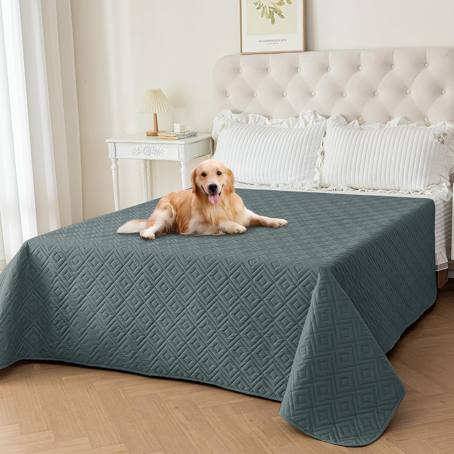 2026 Waterproof Dog Bed Blanket (82"x120") Comfy Couch Sofa Mat for Dog Pets with Anti-Slip Back, Universal Incontinence Lightweight Liner Pad for Furniture Car Picnic etc Durable Washable, Dark Grey