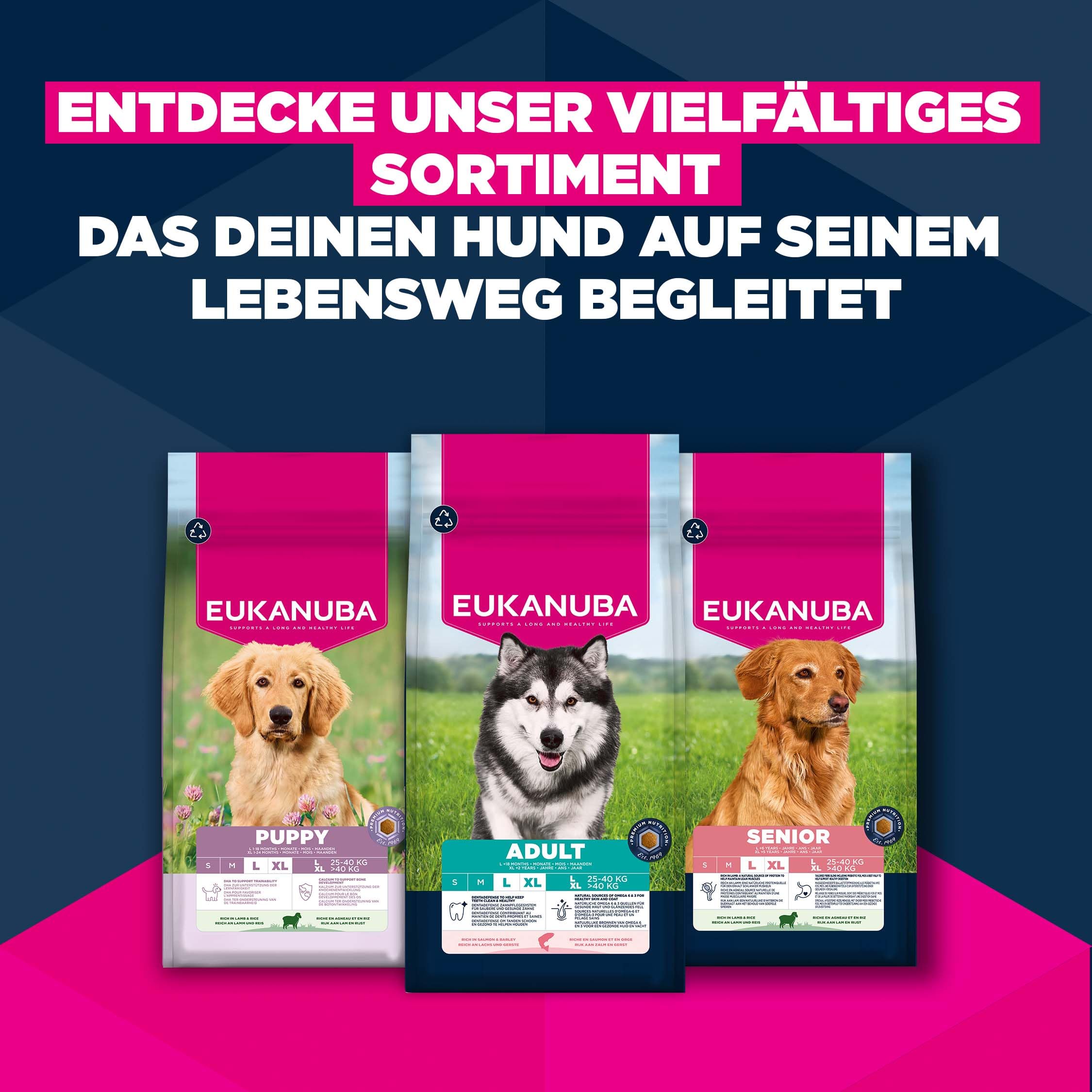 Eukanuba Hundefutter Trocken mit Lachs und Gerste für große Rassen - Premium Trockenfutter für ausgewachsene Hunde, 12 kg