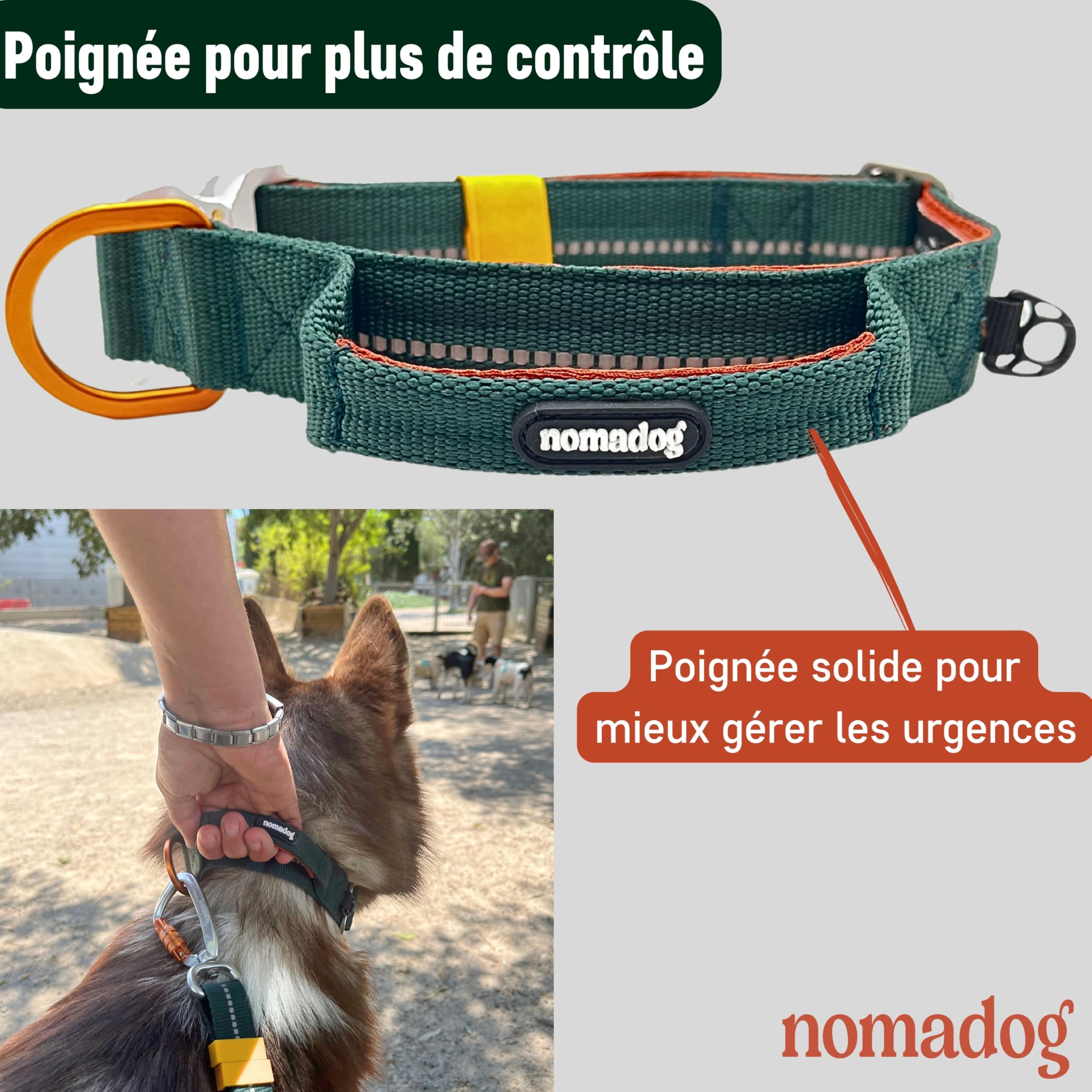 Nomadog Trailblazer Collier Chien avec Poignée pour Gros Chien - Durable, Réglable, Rembourré, Boucle en Aluminium Premium - Collier Tactique (XL)