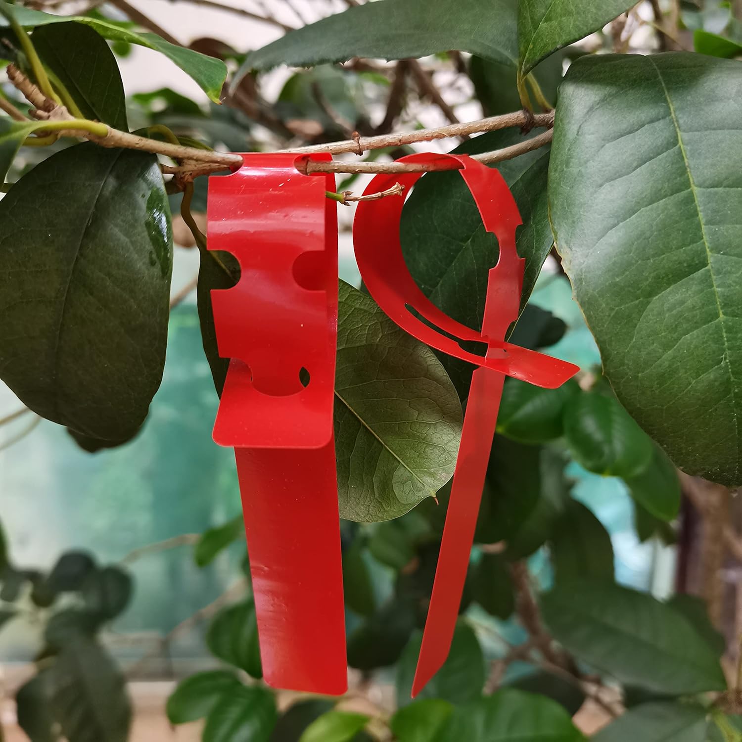 200 Pcs Red Plastic Plant Tags with a Marker Pen, Wrap Around Hanging Tree Tags Nursery Garden Labels Waterproof Nursery Garden Stakes, 2x20cm - Image 6
