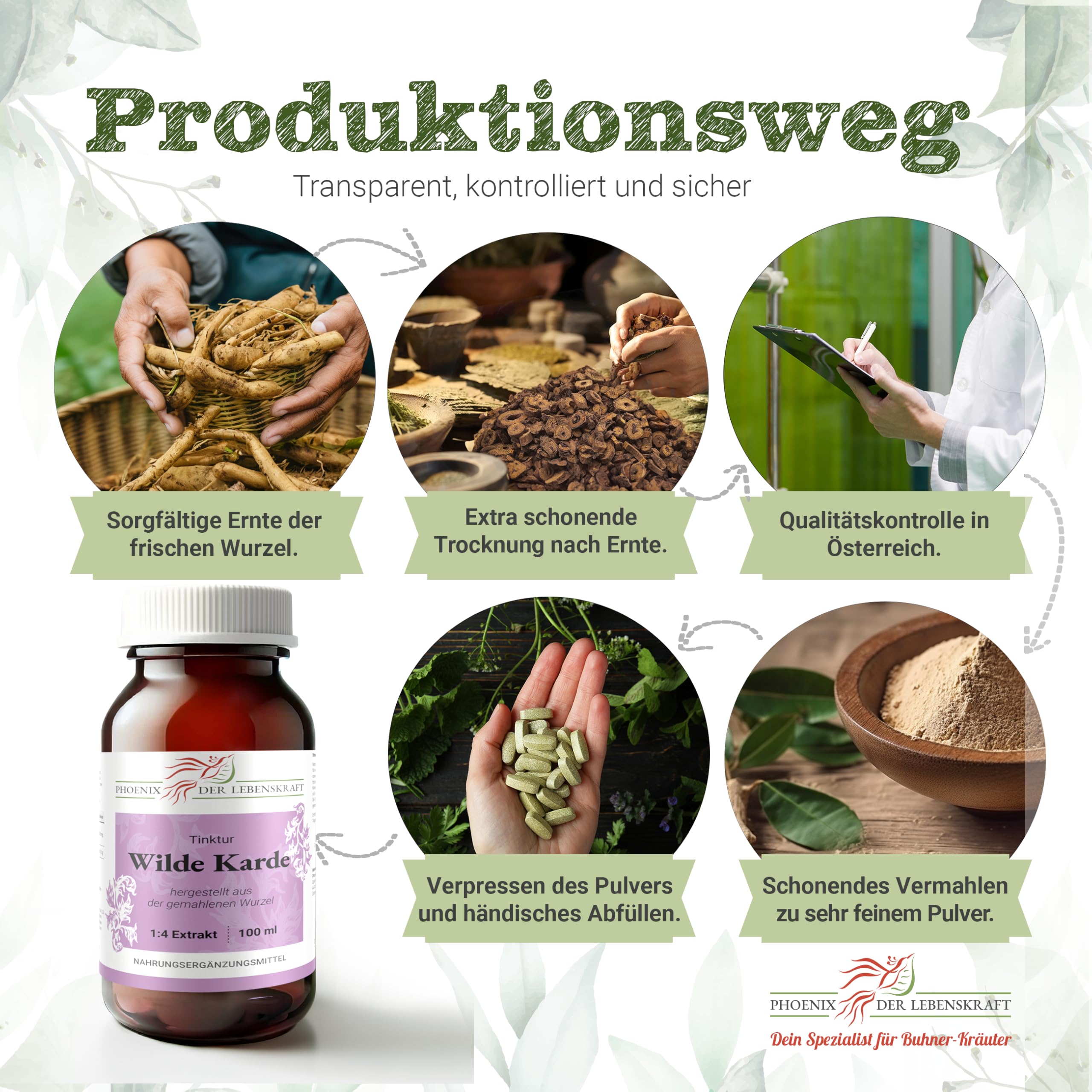 Wilde Karde Tabletten, 300 mg Wirkstoff, Karde-Tabletten, Premium Qualität, Hergestellt in Österreich, Tabletten statt Kapseln, Vegan