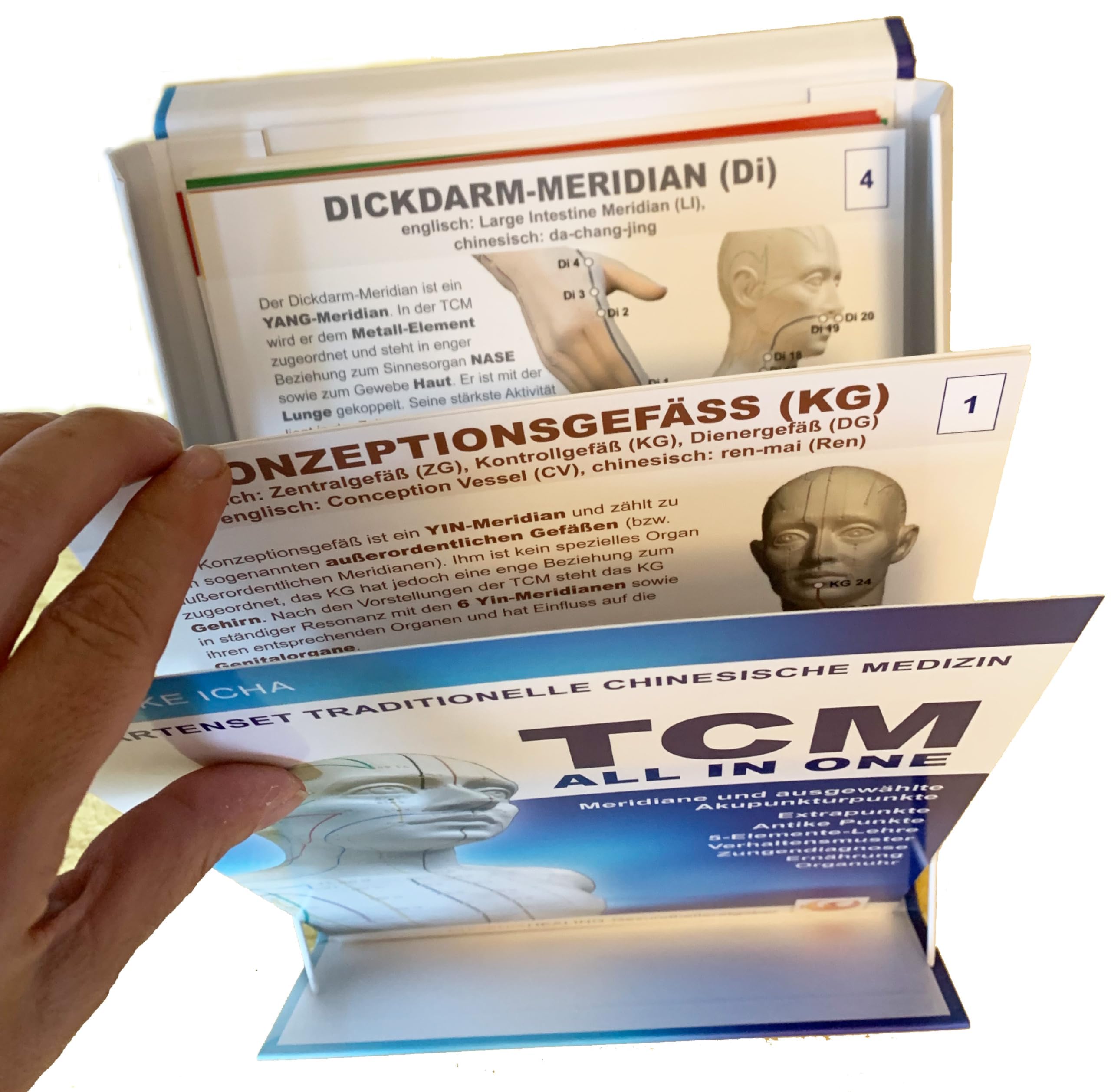 TCM - All In One: Kartenset - Traditionelle Chinesische Medizin