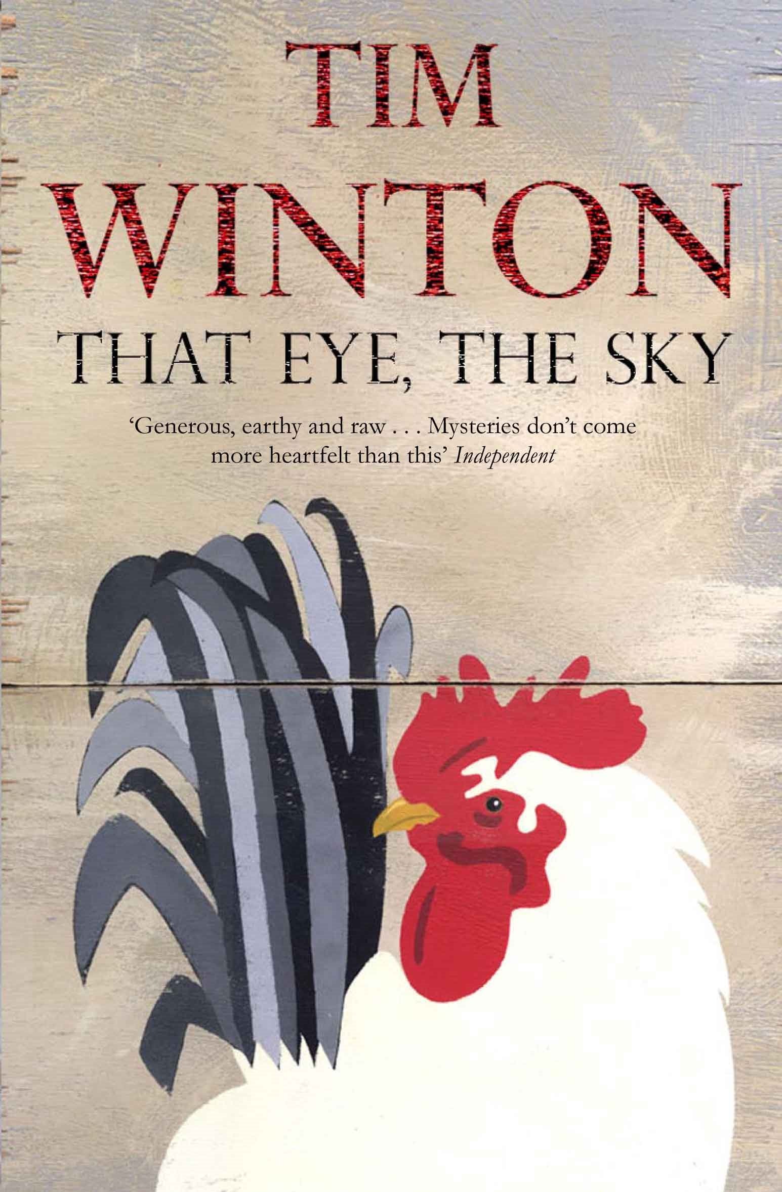 That Eye, the Sky By Tim Winton. 9780330412513