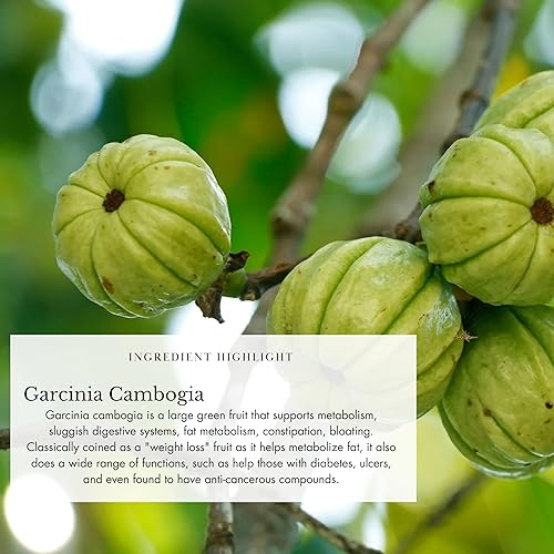 Miniatura 3 de Anima Mundi Apothecary Polvo de amor del vientre, suplemento para aliviar la hinchazón, ayuda digestiva y deshinchazón, suplemento en polvo para