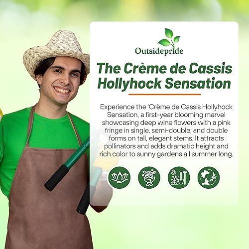 Miniatura 6 de Outsidepride Alcea Rosea Crème do Cassis Hollyhock Jardín Plantas de vid trepadoras - 25 semillas