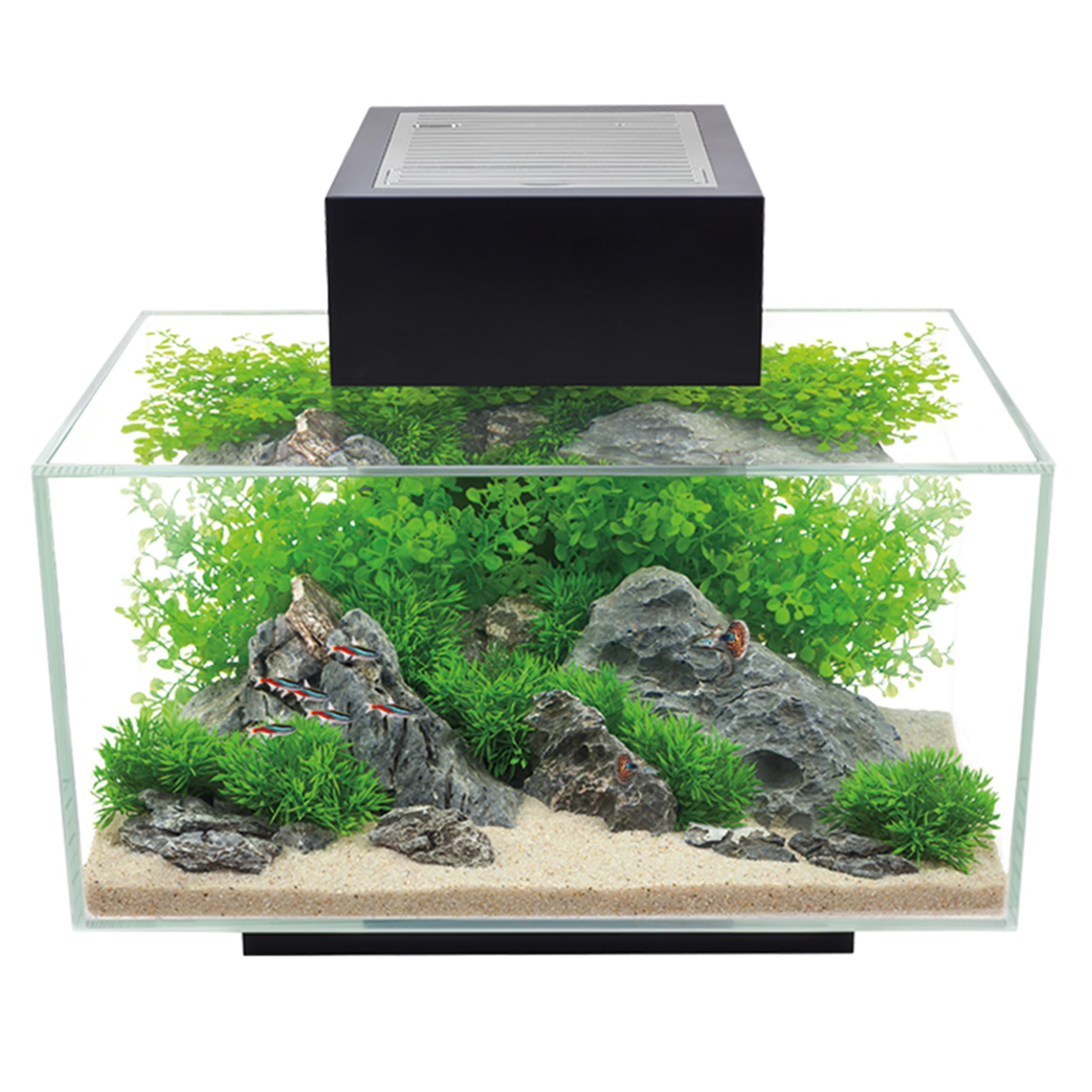 Fluval 15034 Set Acquario Edge, L, 23 litri, Nero