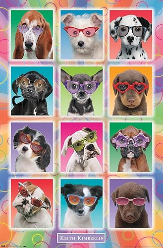 Trends International Keith Kimberlin - Póster de pared con lentes de sol, diseño de cachorros, 22.375 x 34 pulgadas, versión sin marco