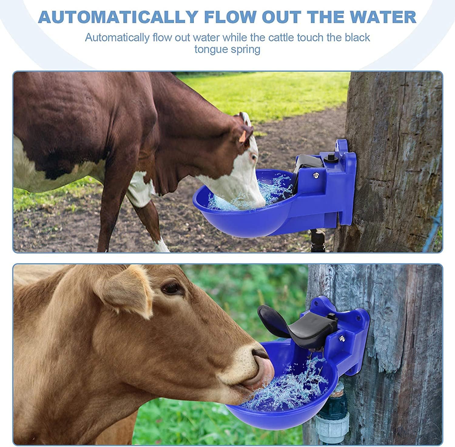 GOTOTOP Cow Water Bowl, 2L Premium Plastic Animal Water Trough Bowl Water Sheep Feeder Drinker Automatic Drinking Bowl for Horses Pony Goats Sheep Cattle Donkey Watering Supplies : Pet Supplies