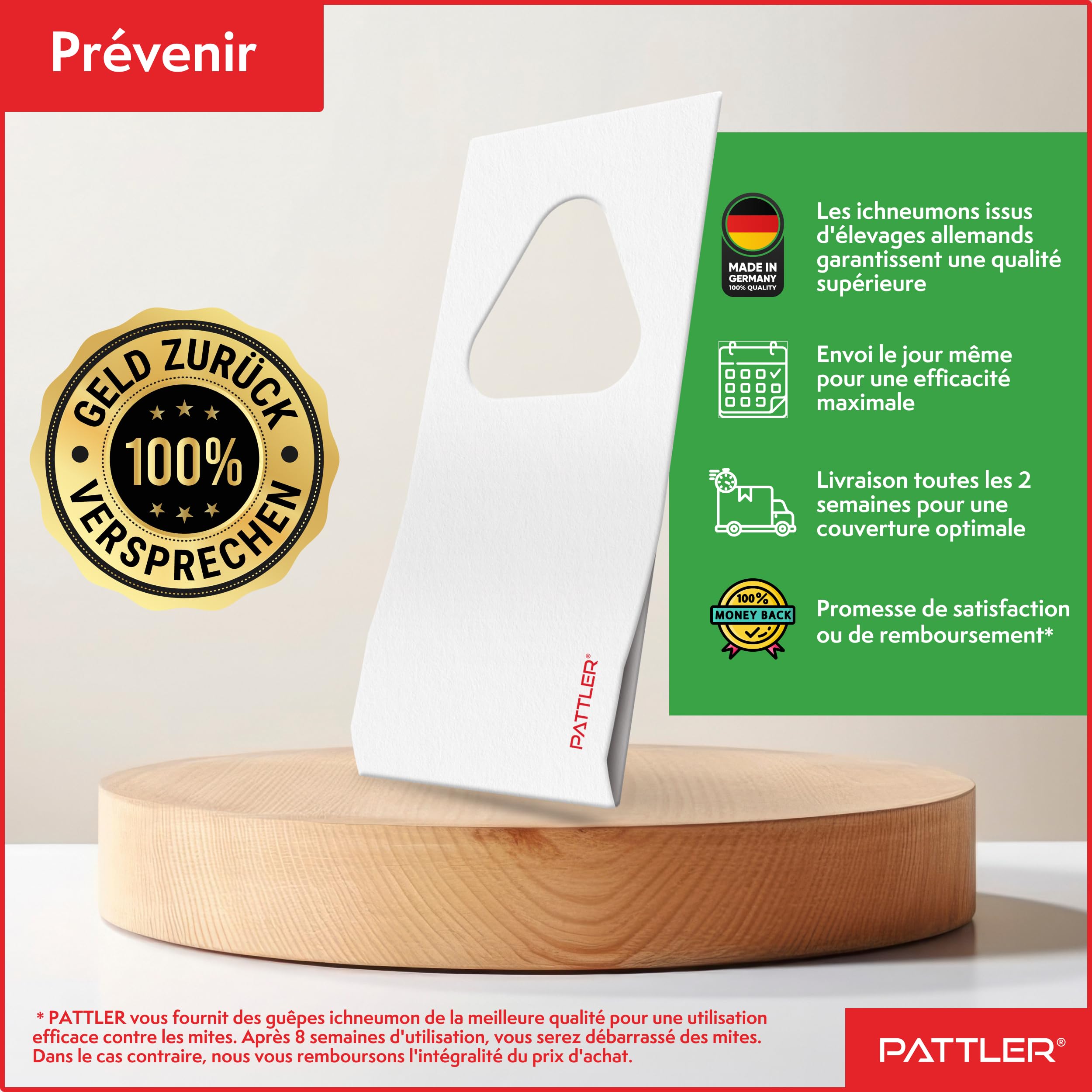 PATTLER® Guêpes Anti Mite Alimentaires - Lutte Efficace Contre Les Mites. Alternative Aux Pièges, Sprays et Pièges à Phéromones - 6 Carte à Deployer avec 1 Livraison