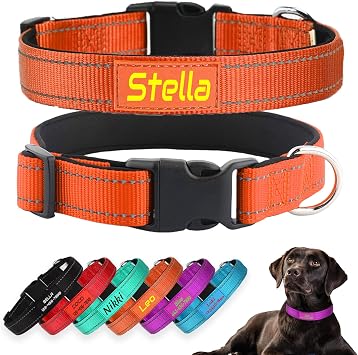 Personalized Reflective Nylon Dog Collar with Neoprene Padding, Orange