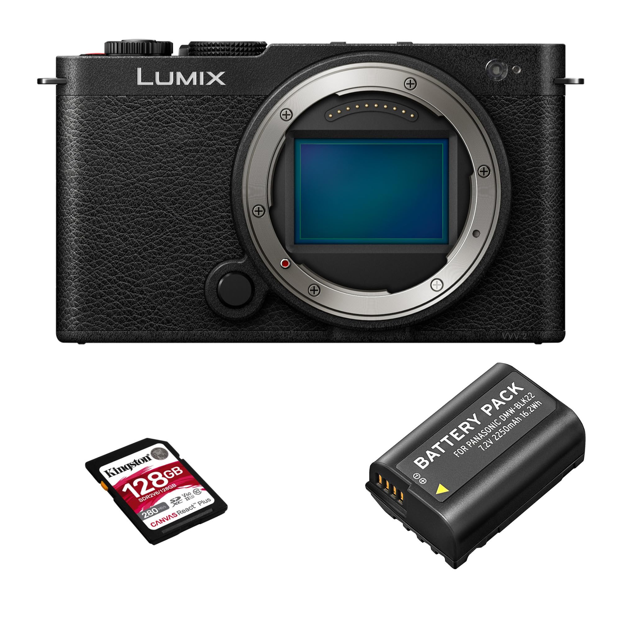 Sayaka 美品　デジカメ Panasonic Lumix Panasonic Lumix DC-S9 Mirrorless Digital Camera with 18-40mm