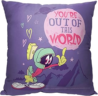 Northwest Warner Bros. Looney Tunes Pillow, 18