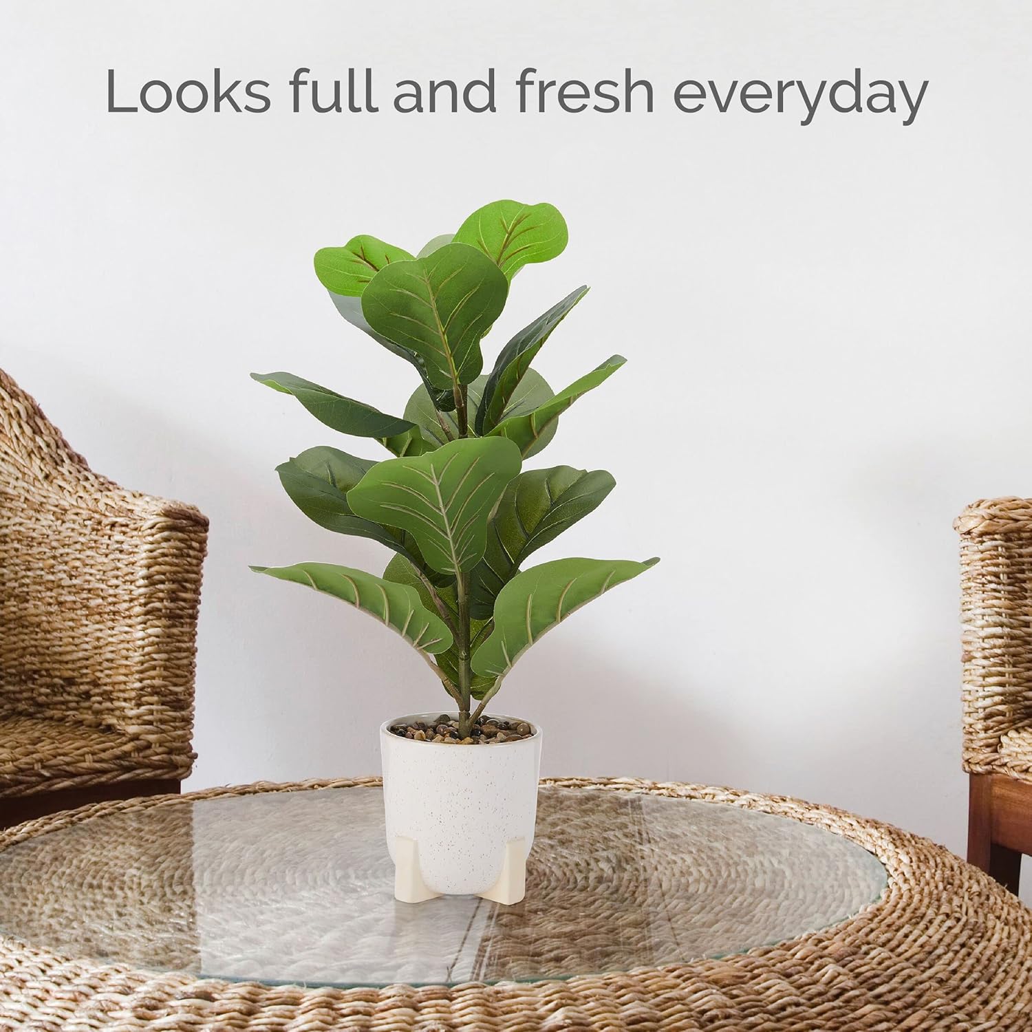 Elements 10.63x10.63x21.26 Inch Artificial Fiddle-Leaf Fig in White Ceramic Pot, Ficus Lyrata