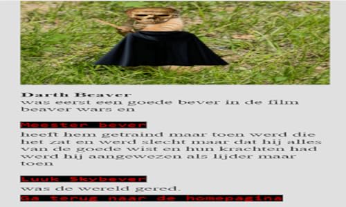 BeaverStories