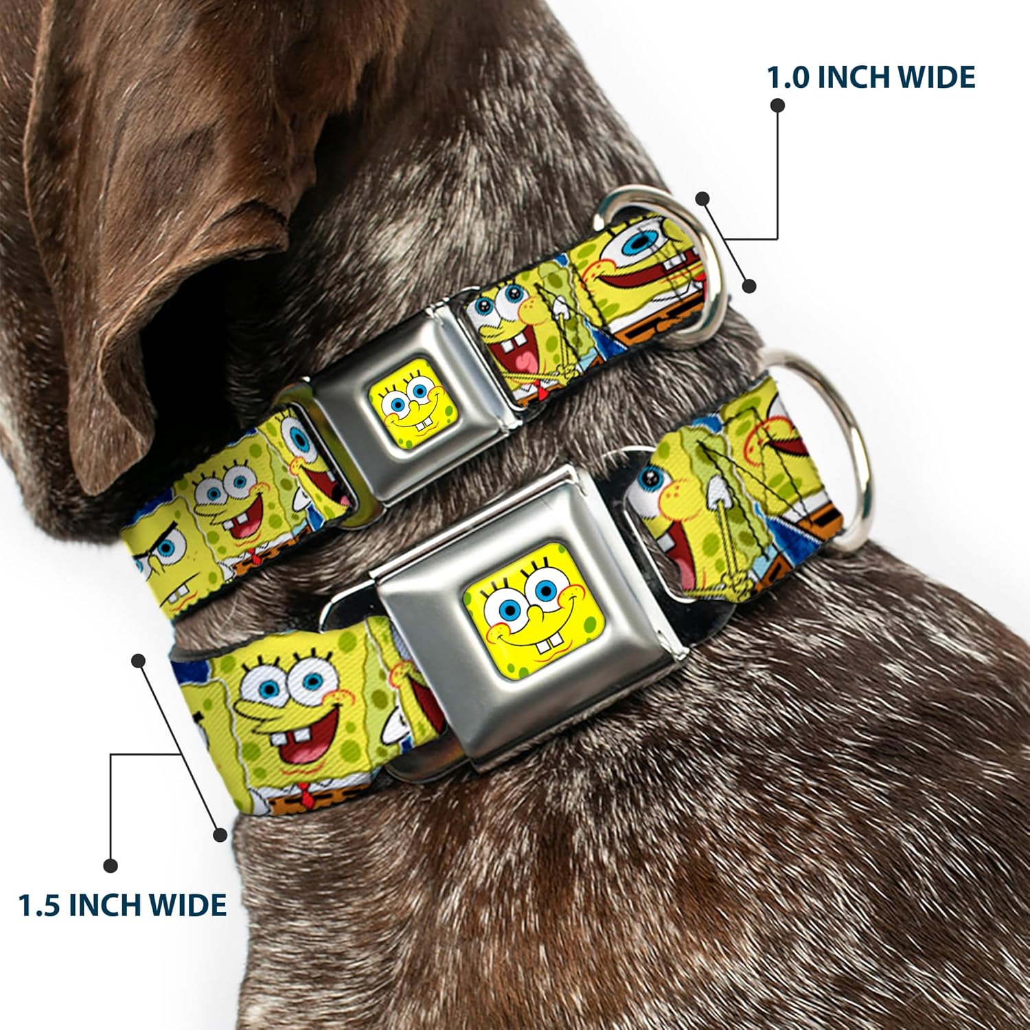Buckle-Down Seatbelt Buckle Dog Collar - SpongeBob Expressions Stripe Blue - 1.5" Wide - Fits 16-23" Neck - Medium