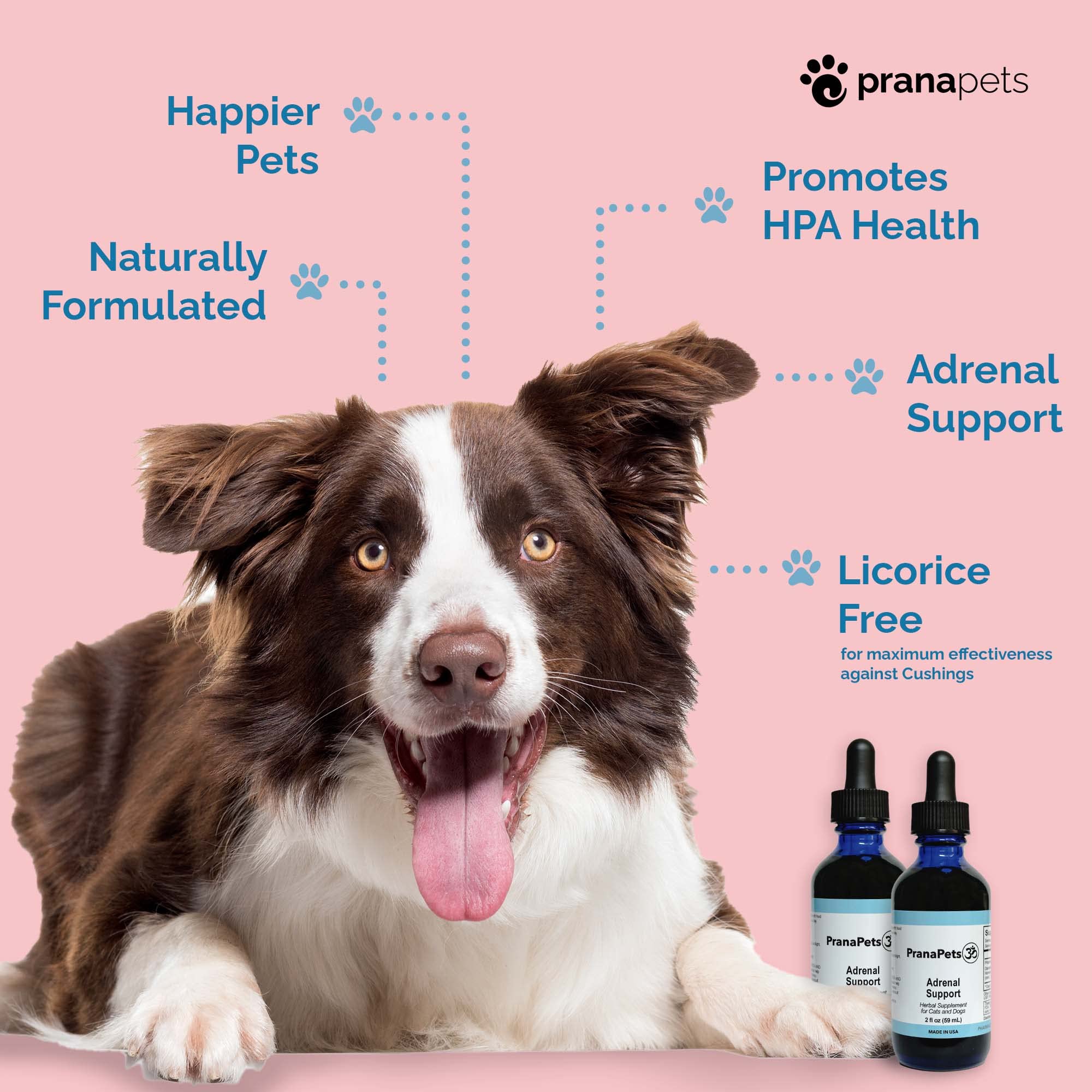 Buy Prana Pets Adrenal Support Naturally Relieves Symptoms of Cushings