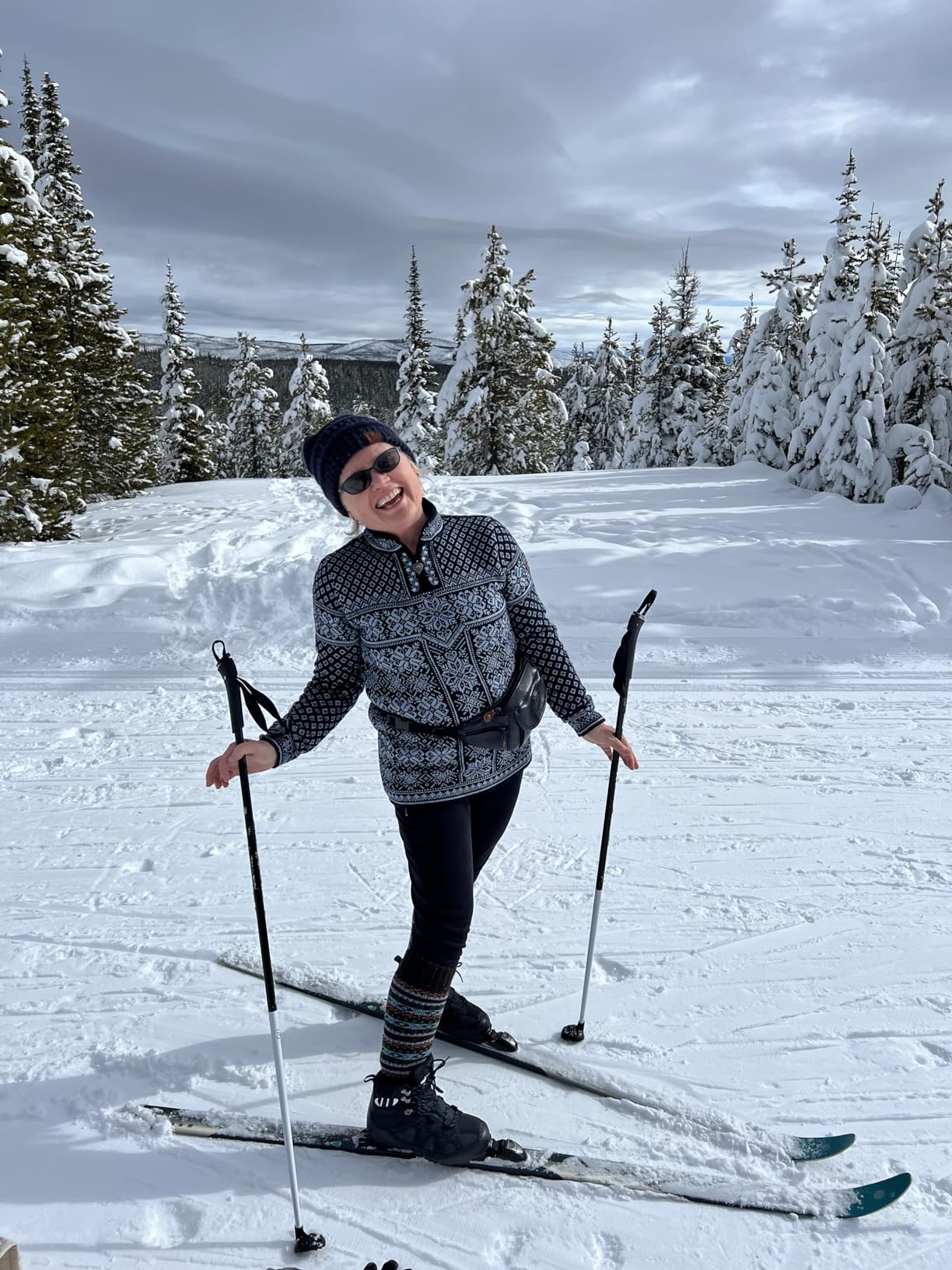 Cross Country Skis Adult Set 10 Best Backcountry Cross-Country Ski