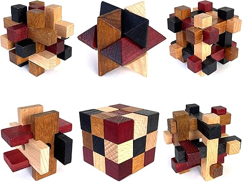 Rompecabezas de madera para el cerebro, paquete de 6 unidades, rompecabezas 3D para adultos y niños, ideas de regalo educativas y divertidas,