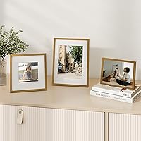 Vista 369 de Fun Memories Portarretratos de metal de 16 x 20 pulgadas con paspartú de 11 x 14 pulgadas, acabado de aluminio cepillado, parte delantera de vidrio