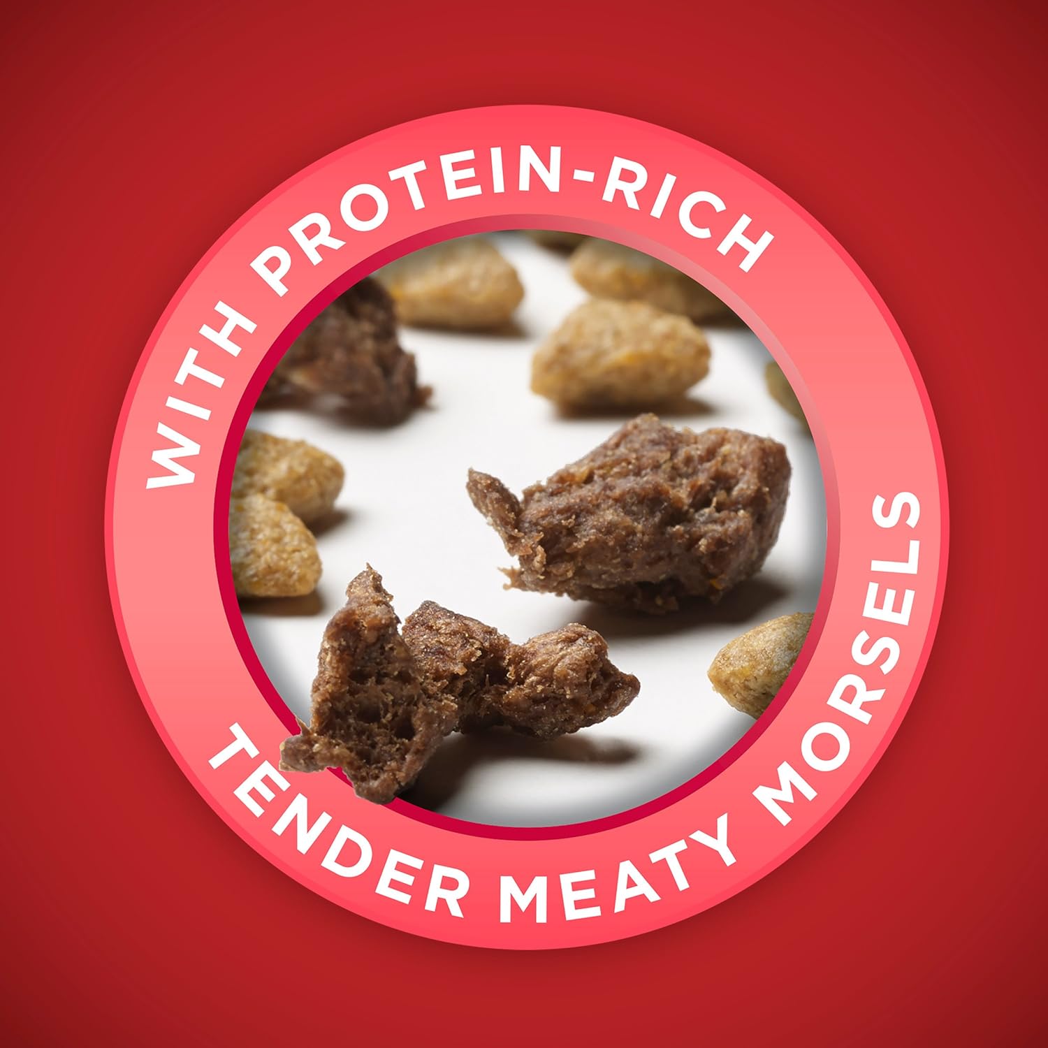 Purina ONE Natural Dry Dog Food; SmartBlend Small Bites Beef & Rice Formula - 8 lb. Bag : Everything Else