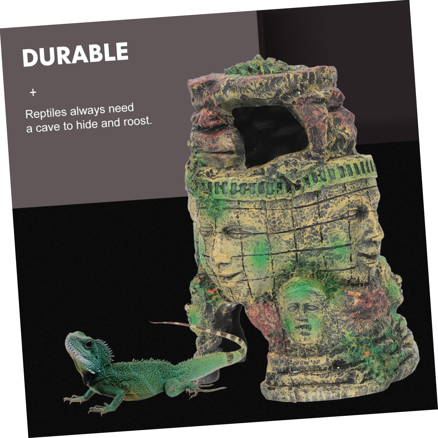 Decoración Natural para Terrarios De Reptiles De Premium para Serpientes y Arañas Accesorio para Acogedores Hábitats Terrestres