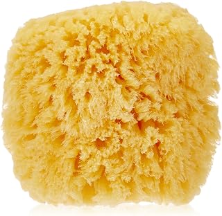 Bath Accessories Natural Sea Sponge, Medium/5"