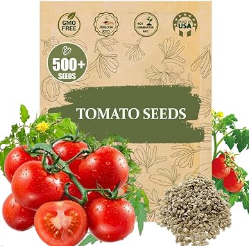 Premium Large Cherry Tomato Seeds 500 Non-GMO Heirloom Seeds for Planting Sweet Juicy, High Yield, Rich Flavor Tomatoes for Home Garden, Balcony, Outdoor, Greenhouse Easy to Grow Vegetable Seeds
