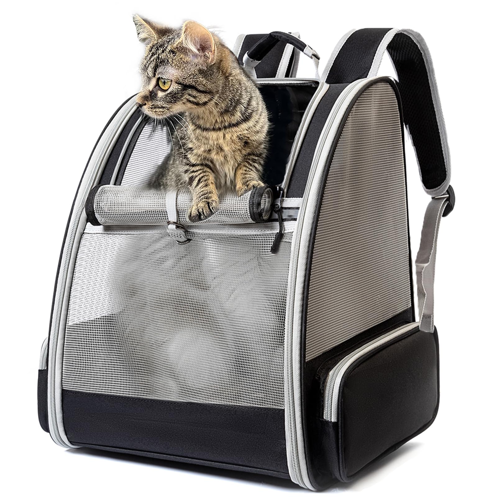 Sac à Dos Pour Chien/Chat - Fenêtre En Maille, Poids 2 à 8 Kg